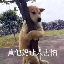 网友利用主播手机偷偷开钻 第7张插图