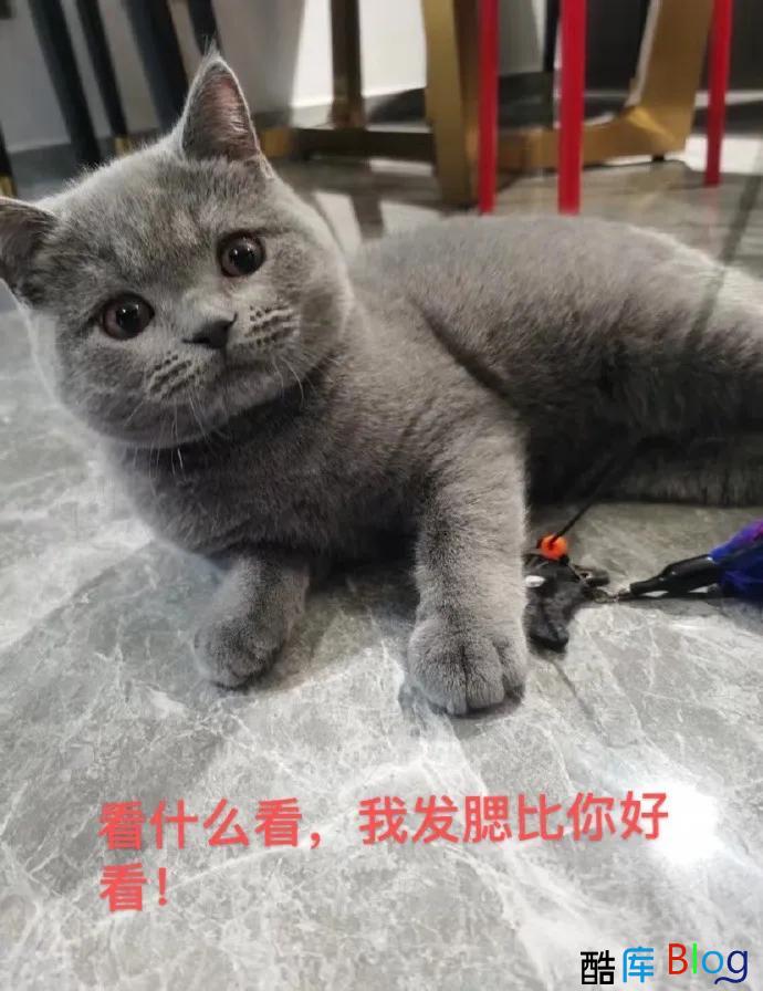 不是只有猫咪才会发腮，人类发腮有多可怕 第6张插图